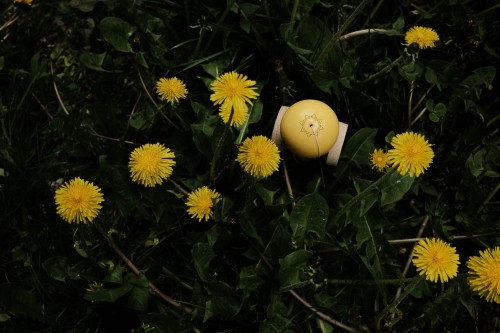DSCF4344.JPG