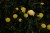 DSCF4344.JPG
